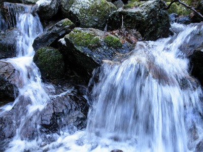 明神平～笹ヶ峰　2011.11.23_f0057070_2254486.jpg