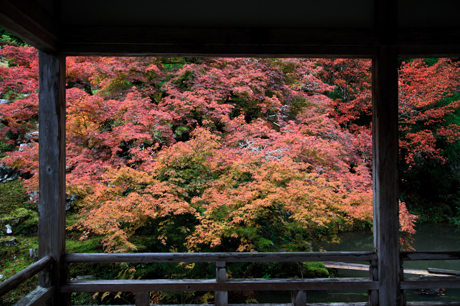 常照皇寺！_b0128581_18364663.jpg