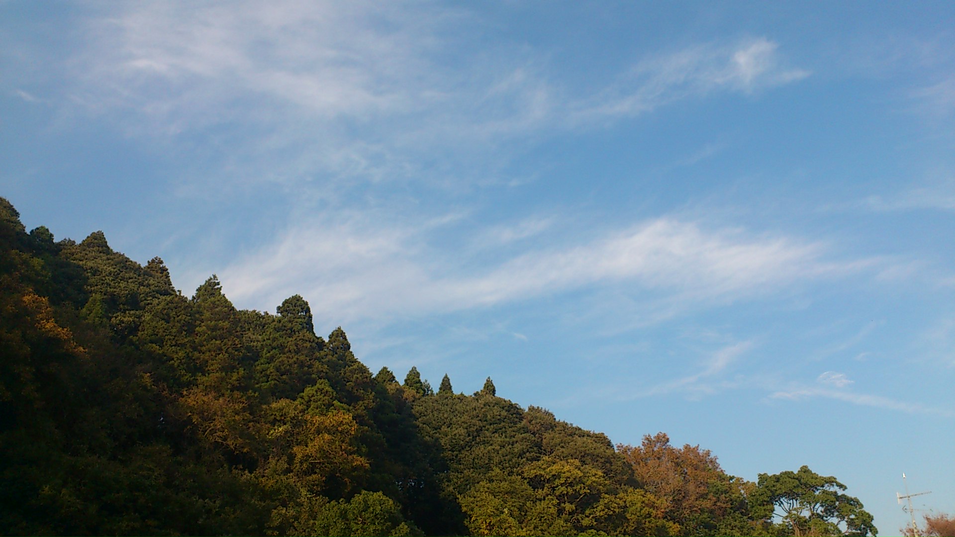 d0056881_2254553.jpg