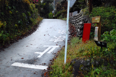 丹沢　三ケ木-焼山-姫次-蛭ヶ岳-弁当沢ノ頭-青崩隧道-玄倉_c0145582_10145729.jpg