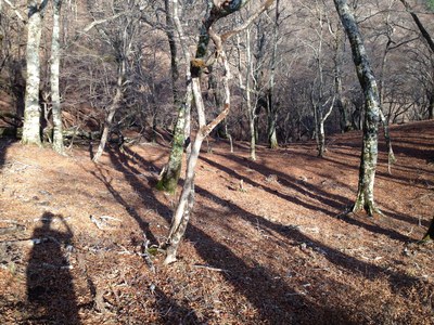 丹沢　三ケ木-焼山-姫次-蛭ヶ岳-弁当沢ノ頭-青崩隧道-玄倉_c0145582_1422767.jpg