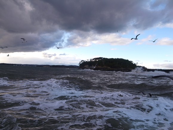 c0188784_10361369.jpg