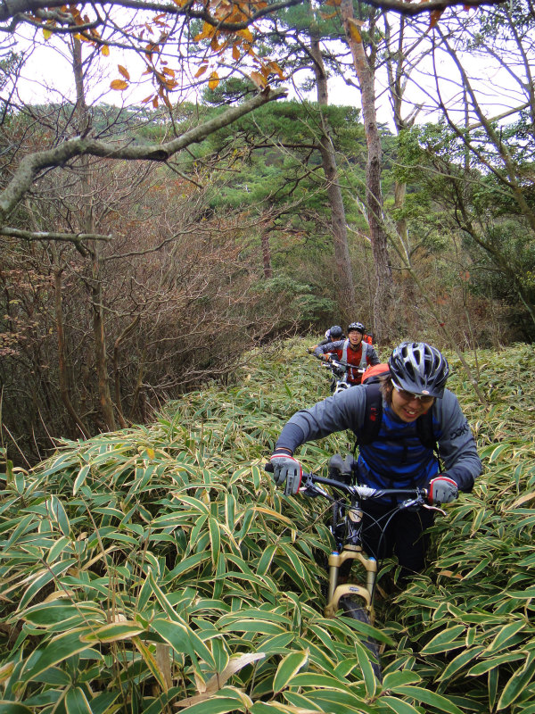 2011/11 Sky High Mountain Bikers_b0220886_1844789.jpg