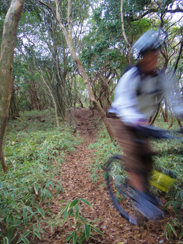 2011/11 Sky High Mountain Bikers_b0220886_18452145.jpg