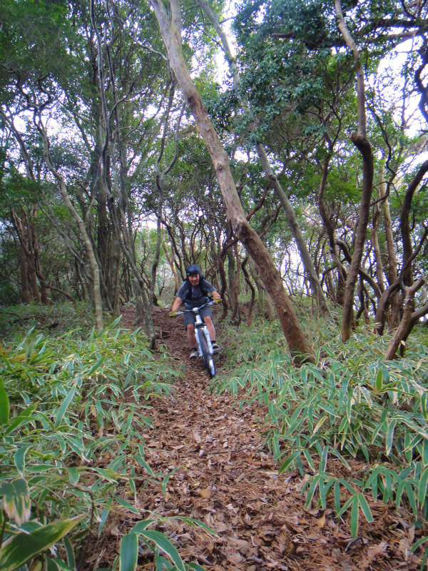 2011/11 Sky High Mountain Bikers_b0220886_18505577.jpg
