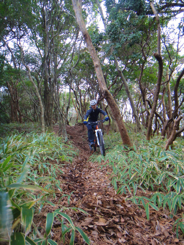 2011/11 Sky High Mountain Bikers_b0220886_1851652.jpg