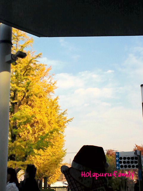 b0238691_21503991.jpg