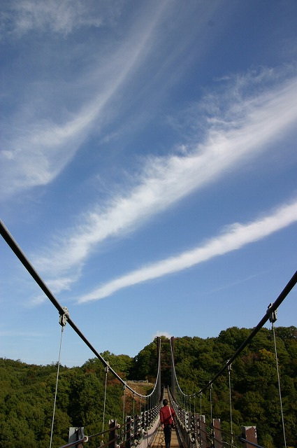 e0061694_6553717.jpg