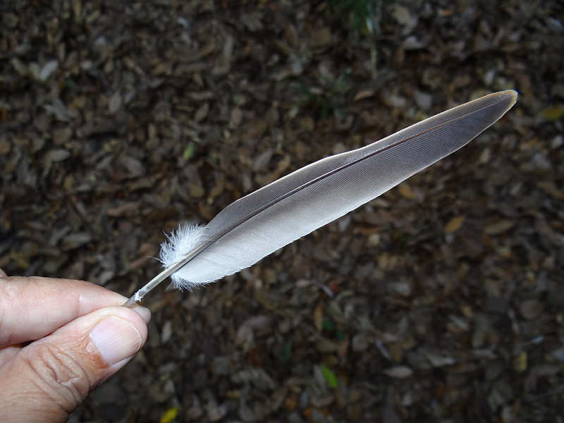 f0204094_22445954.jpg