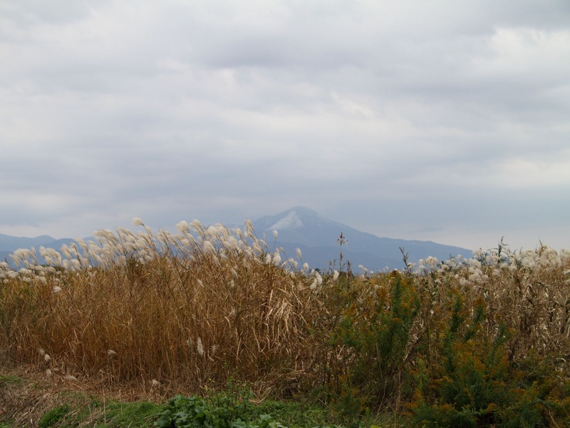 b0223198_20491291.jpg