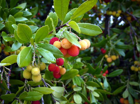 c0090198_34814.jpg
