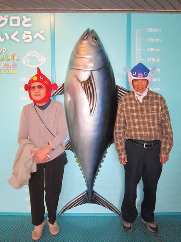 a0218800_16335385.jpg