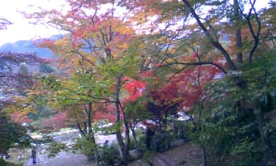 d0090001_0213337.jpg