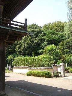 a0057402_19251169.jpg