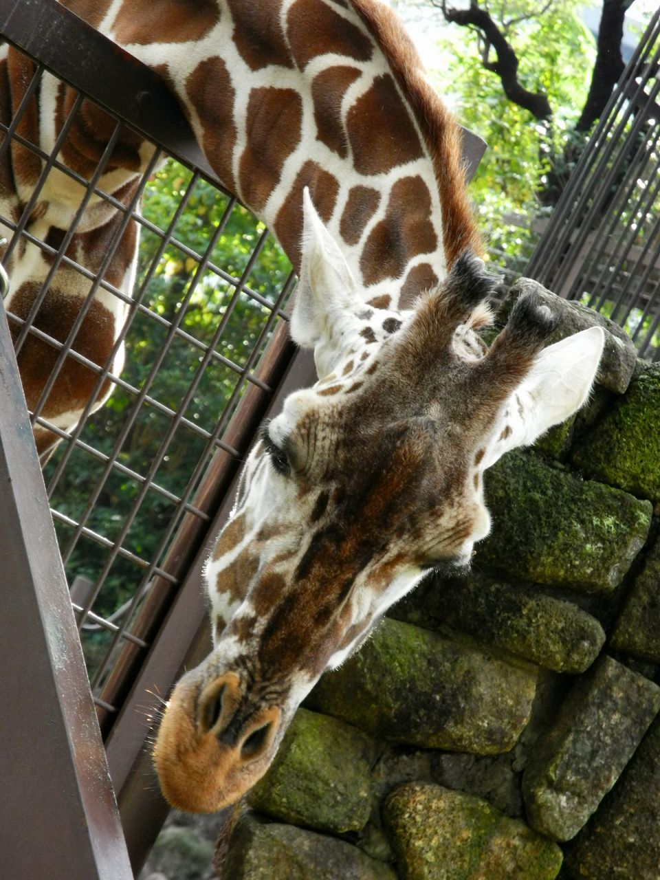c0157702_2351637.jpg