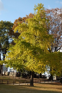 b0189603_2314921.jpg
