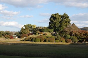 b0189603_2325938.jpg