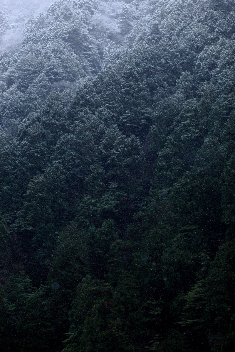 a0155104_23295568.jpg