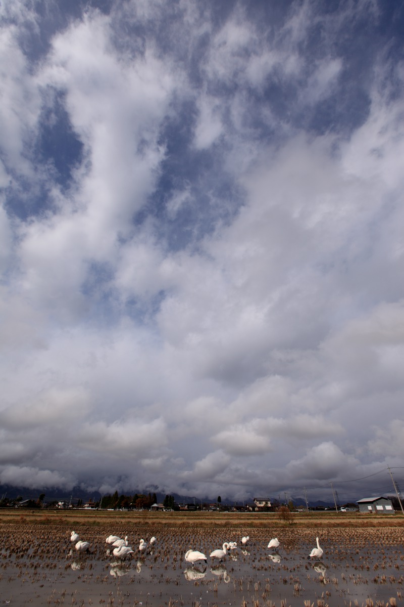 a0155104_23303375.jpg