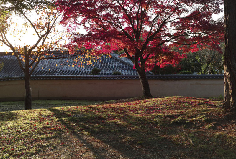 奈良夕照　－　東大寺_c0156404_7551280.jpg