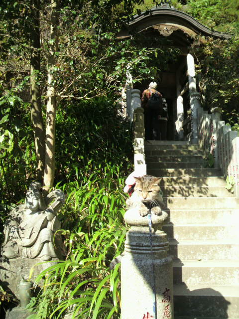 e0031605_0163791.jpg