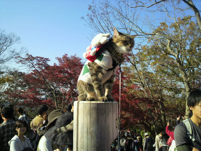 e0031605_017205.jpg