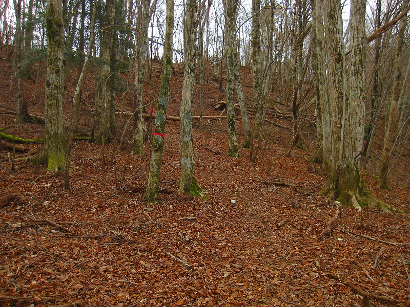 三嶺　新登山道コース　　 2011年10月の遭難コース_b0124306_22265059.jpg