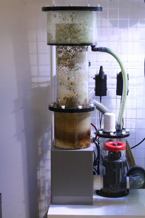 すきまーjk・お待たせいたしました編 : ビーボックスアクアリウム