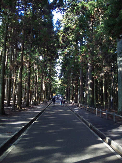 f0232910_18325295.jpg