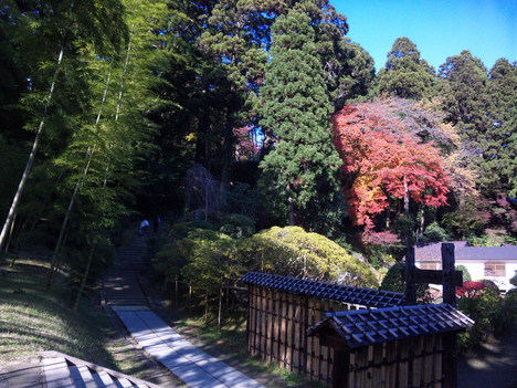 f0232910_18412321.jpg