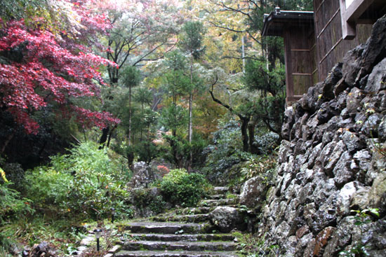 霧の宗蓮寺_e0048413_20585999.jpg