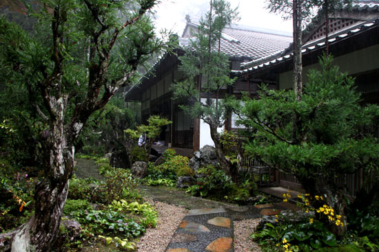 霧の宗蓮寺_e0048413_20592125.jpg