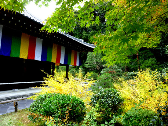 智積院　紅葉_e0048413_2222568.jpg