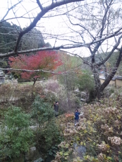 b0208515_025240.jpg