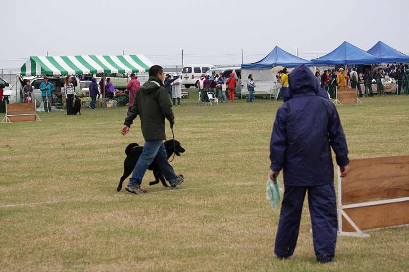 f0163116_2203340.jpg
