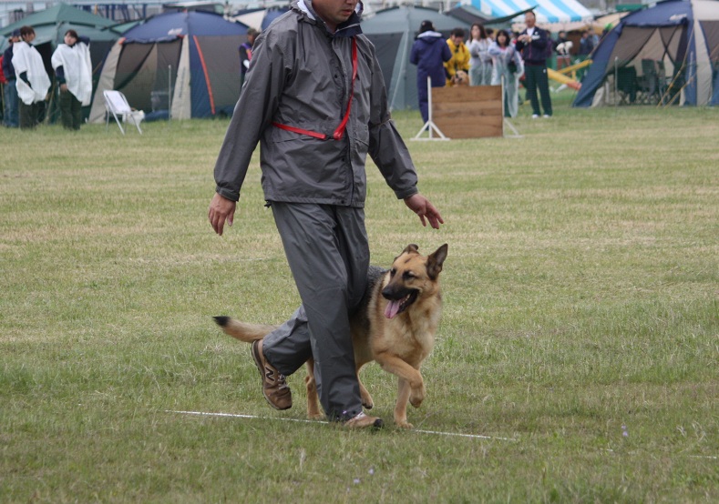 f0163116_22162875.jpg