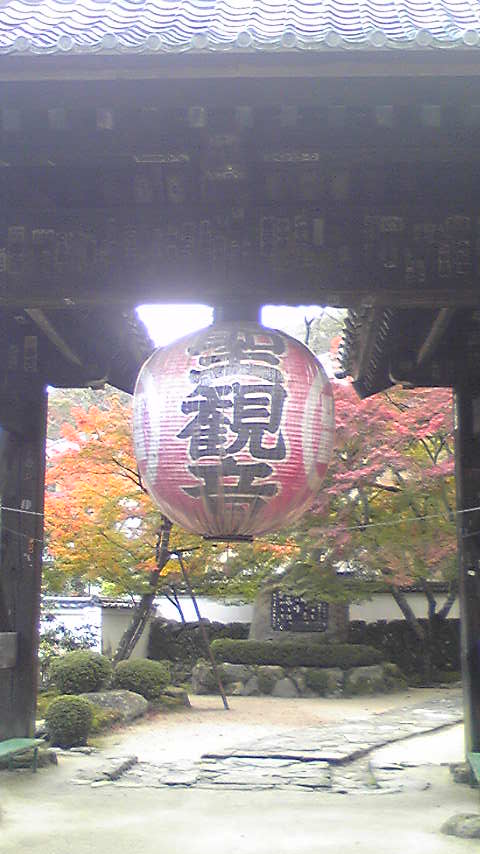 d0004717_7173736.jpg