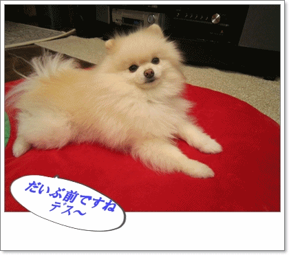 b0167519_9223395.gif