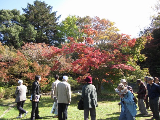 あこがれの水明荘、ついに見学できました！_a0238024_201037.jpg