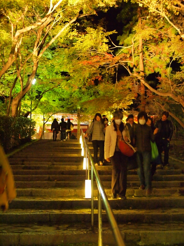 京都　永観堂　ライトアップ　「永観おそし」_d0252924_14545265.jpg