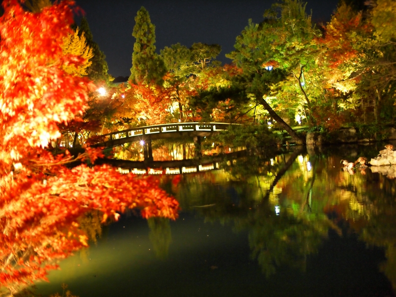 京都　永観堂　ライトアップ　「永観おそし」_d0252924_14573547.jpg