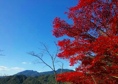 多久西渓公園～聖廟_e0176627_1628040.jpg