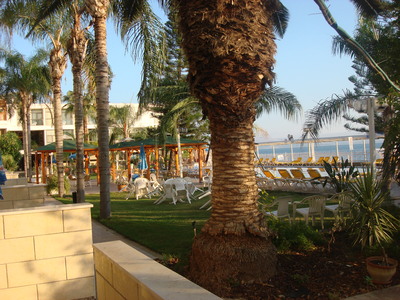 b0164428_0103054.jpg