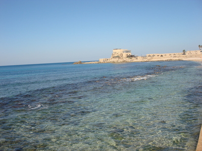 b0164428_0481769.jpg