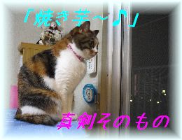 c0076330_2214227.jpg