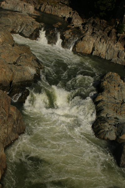 e0138031_784849.jpg