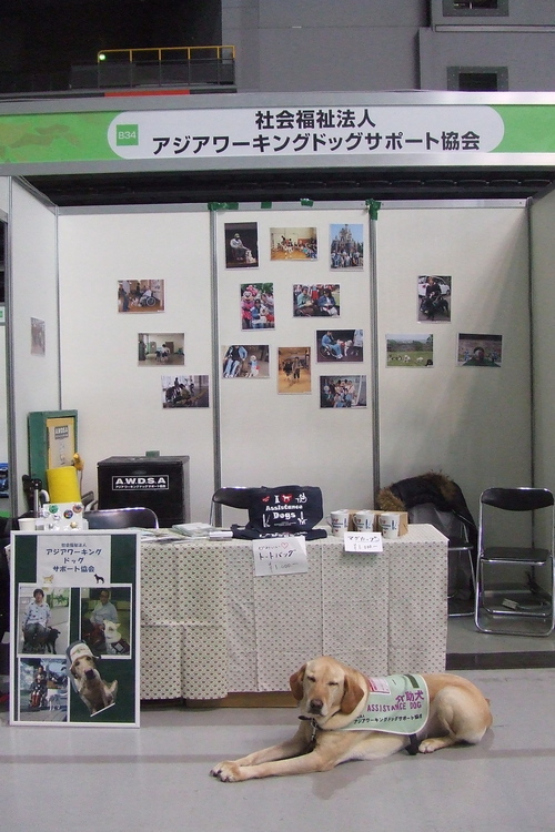 b0157033_11583671.jpg