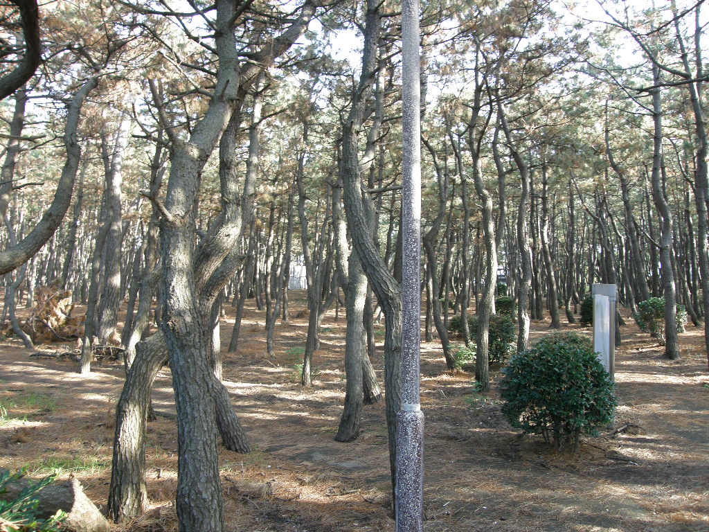 c0141933_23453120.jpg