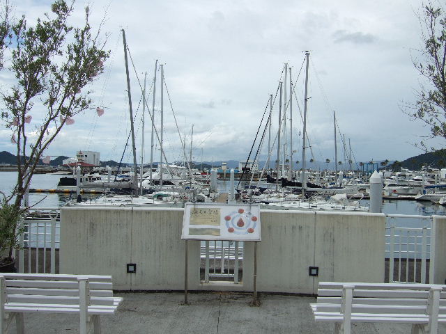 e0064133_033040.jpg