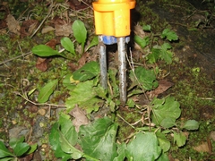 c0134734_23471141.jpg